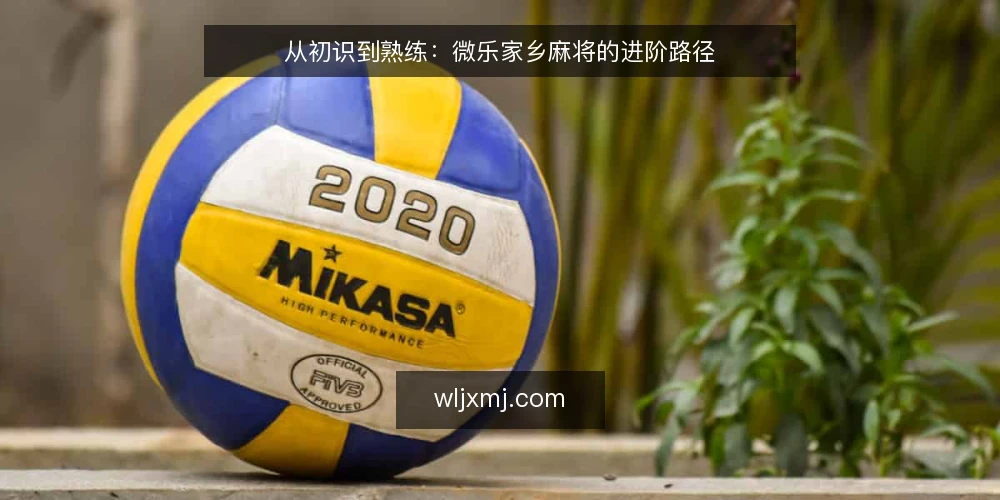 从初识到熟练:微乐家乡麻将的进阶路径 — 初识:微乐家乡麻将是什么? 配图
