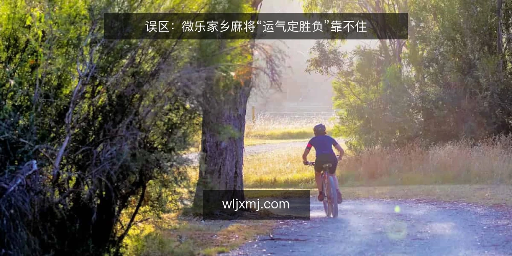 误区:微乐家乡麻将“运气定胜负”靠不住 — 看信号:牌局里真正值得盯的变量 配图