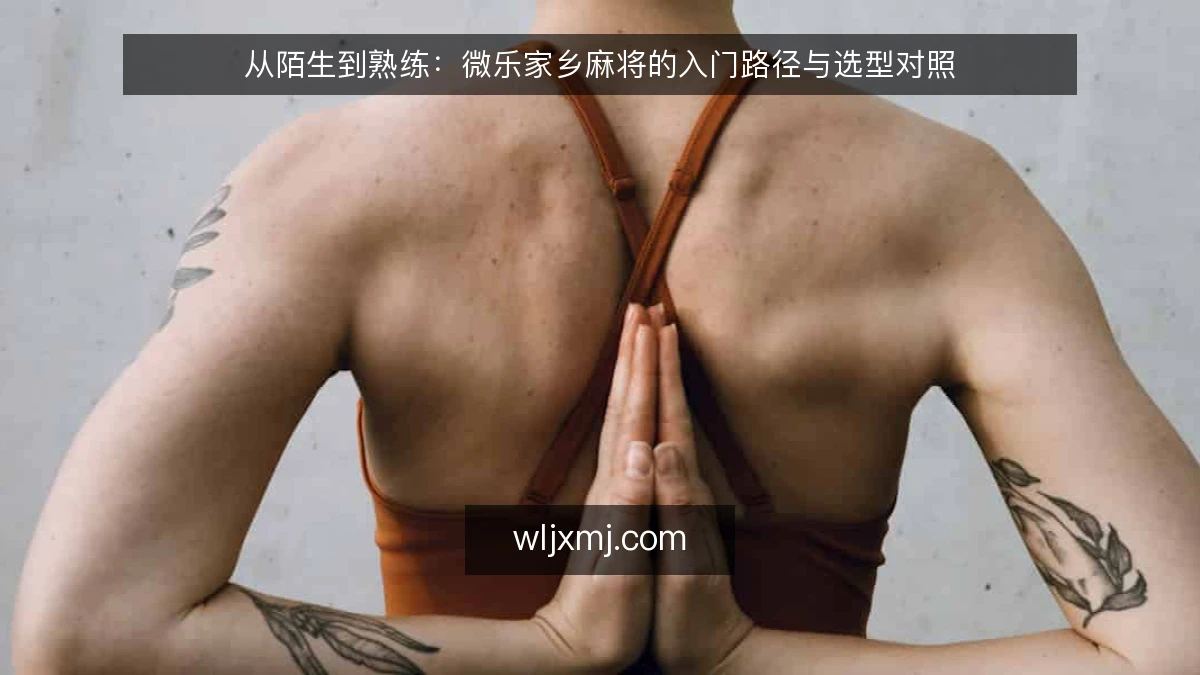 从陌生到熟练：微乐家乡麻将的入门路径与选型对照