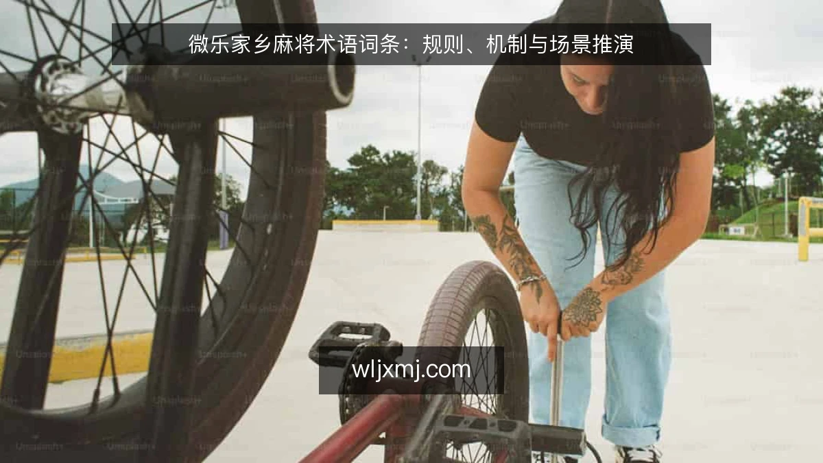 微乐家乡麻将术语词条：规则、机制与场景推演